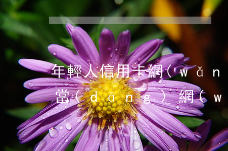 年輕人信用卡網(wǎng)貸逾期怎么辦(當(dāng)網(wǎng)貸信用卡全面逾期)
