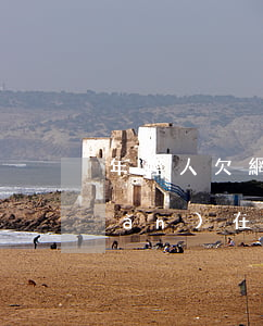 年輕人欠網(wǎng)貸的多嗎(現(xiàn)在年輕人借網(wǎng)貸多嗎)