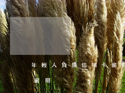 年輕人負債信用卡逾期了(大部分年輕人信用逾期)