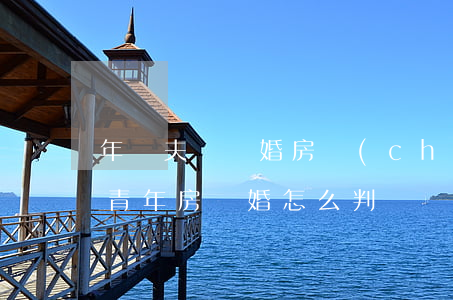 年輕夫婦離婚房產(chǎn)怎么判(大齡青年房離婚怎么判)
