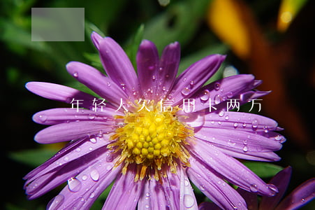 年轻人欠信用卡两万
