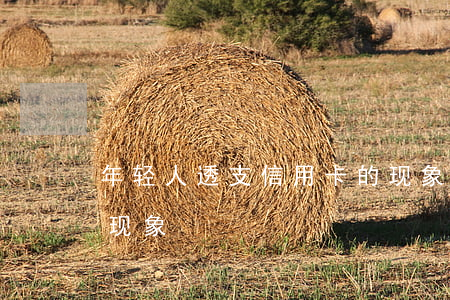 年轻人透支信用卡的现象(年轻人信用卡负债现象)