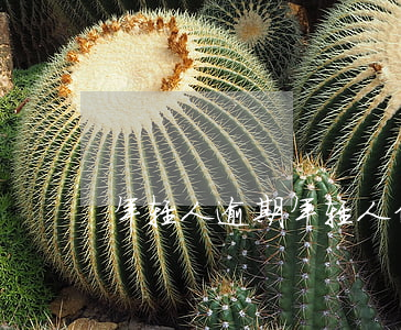 年轻人逾期(年轻人信用卡逾期)