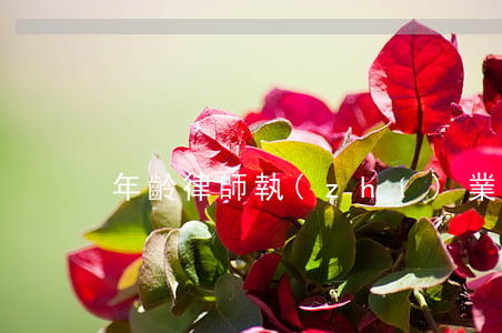 年齡律師執(zhí)業(yè)
