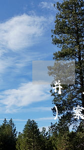 并購重組經(jīng)典實戰(zhàn)案例