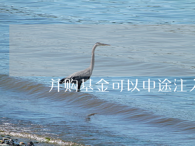 并购基金可以中途注入吗