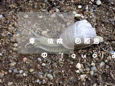 幸虧法院駁回原告訴訟請(qǐng)求，否則中國(guó)道德水平真會(huì)倒退50年！