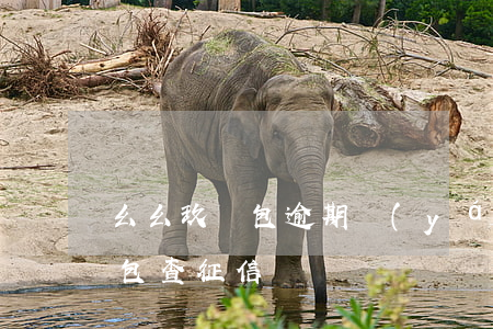 幺幺玖錢包逾期嚴(yán)重嗎(幺幺玖錢包查征信嗎)