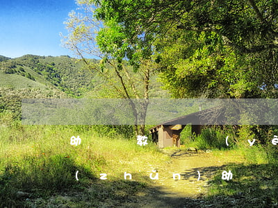 幼兒園教師專業(yè)標(biāo)準(zhǔn)(幼兒園教師專業(yè)標(biāo)準(zhǔn)PPT)