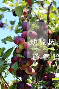 幼兒園法律法規(guī)與職業(yè)道德培訓感悟(教育政策法規(guī)與教師職業(yè)道德規(guī)范的學習心得,500字,謝謝)