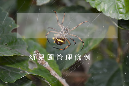 幼兒園管理條例