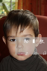 幼兒教師專業(yè)標(biāo)準(zhǔn)