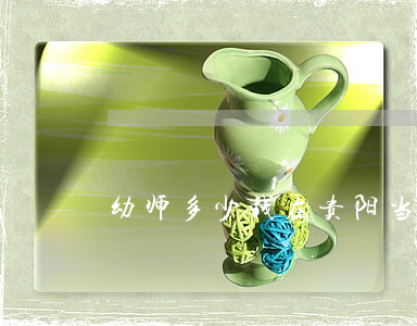 幼师多少钱(在贵阳当幼师多少钱)