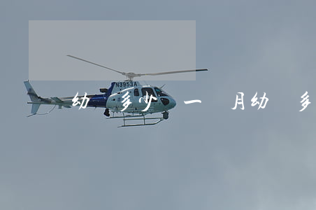 幼師多少錢一個月(幼師多少錢一個月)