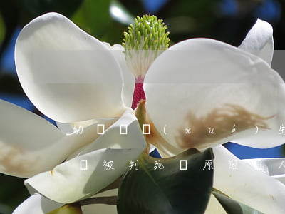 幼師給學(xué)生下鼠藥致一死一傷，一審被判死緩！原因讓人無(wú)語(yǔ)