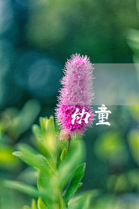 幼童獨自橫過馬路被撞，責任誰擔？
