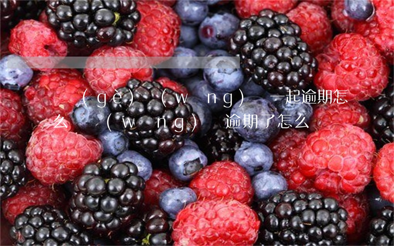 幾個(gè)網(wǎng)貸一起逾期怎么辦(網(wǎng)貸逾期了怎么辦)