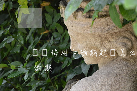 幾個信用卡逾期起訴怎么分-十多張信用卡逾期
