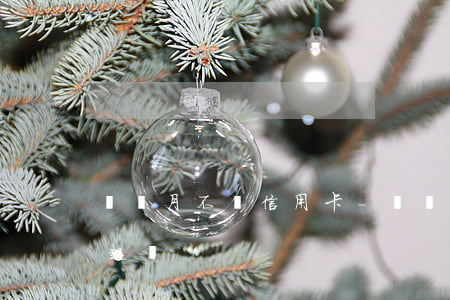 幾個月不還信用卡-幾個月不還信用卡會被起訴