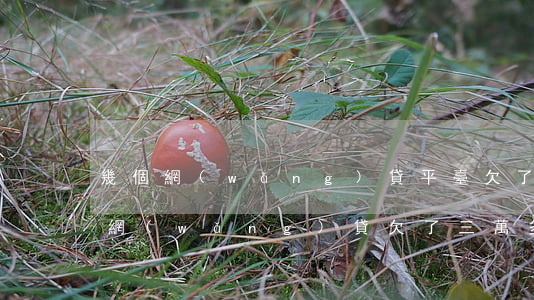 幾個網(wǎng)貸平臺欠了3萬 怎么辦(網(wǎng)貸欠了三萬多怎么辦)