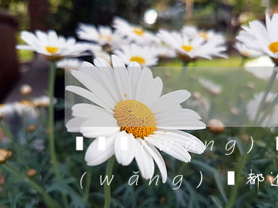 幾個網(wǎng)貸都逾期了幾天(幾個網(wǎng)貸都逾期了幾天)