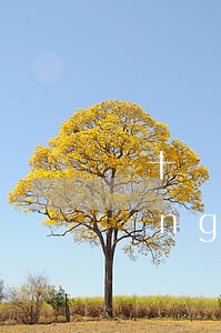 幾十個網(wǎng)貸逾期(十來個網(wǎng)貸逾期半年)