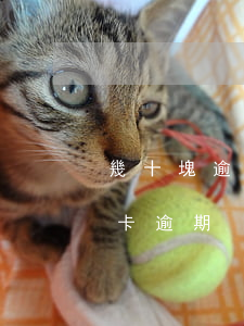 幾十塊逾期可以和信用卡溝通嗎(幾千塊信用卡逾期)