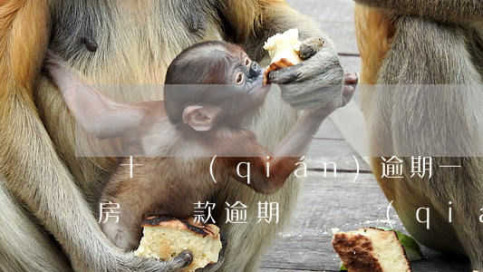 幾十塊錢(qián)逾期一個(gè)月房貸(貸款逾期幾塊錢(qián))