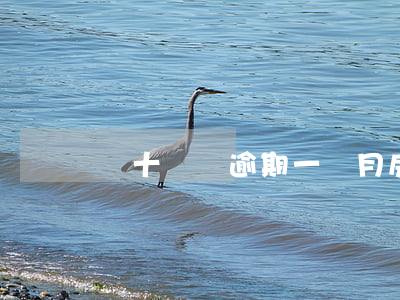 幾十塊錢逾期一個月房貸(貸款逾期幾塊錢)