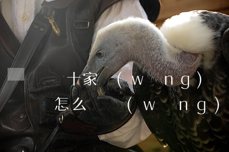 幾十家網(wǎng)貸不還會(huì)怎么樣(網(wǎng)貸好幾年沒(méi)還了會(huì)怎么樣)