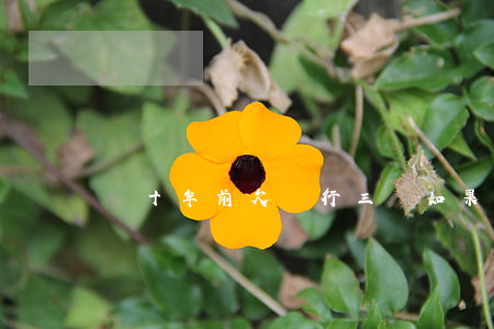 幾十年前欠銀行三萬(如果三十年前欠銀行)
