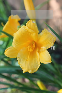 幾十筷子忘記了逾期(幾十筷子忘記了逾期)