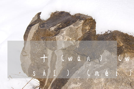 幾十萬(wàn)網(wǎng)貸確實(shí)沒(méi)錢還了怎么辦（幾十萬(wàn)網(wǎng)貸無(wú)力償還）
