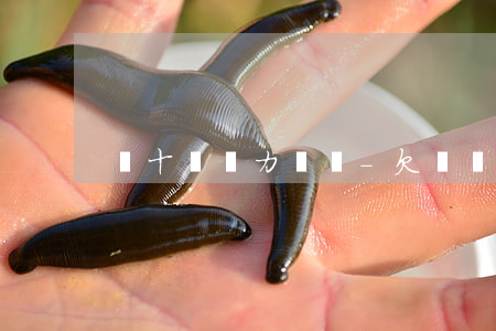 幾十萬無力償還-欠債幾十萬無力償還