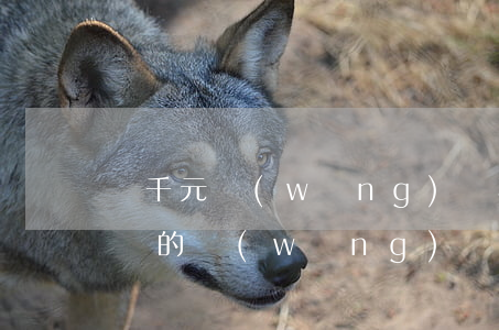 幾千元網(wǎng)貸不還會怎么樣(幾千塊的網(wǎng)貸不還會怎么樣)