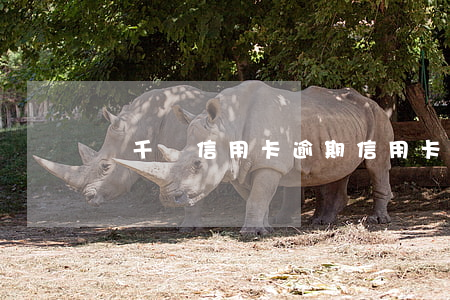 幾千塊信用卡逾期（信用卡逾期超900億）