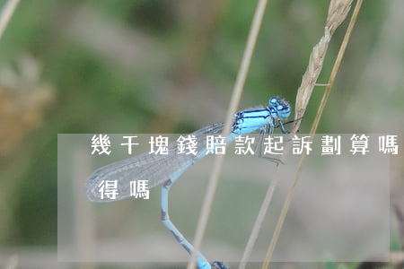 幾千塊錢賠款起訴劃算嗎(為了幾百元起訴值得嗎)