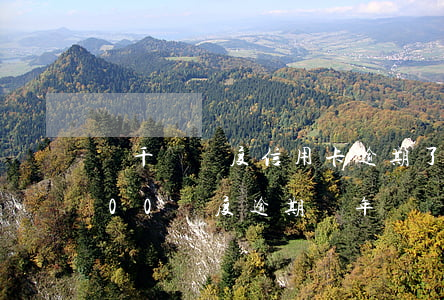 幾千塊額度信用卡逾期了怎么辦(信用卡5000額度逾期兩年)