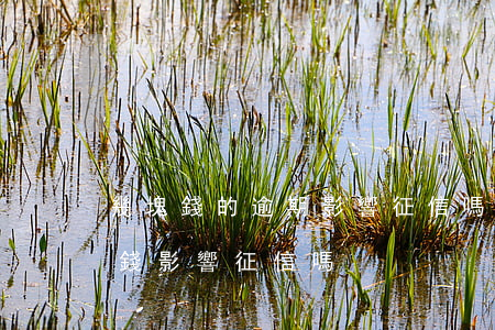 幾塊錢的逾期影響征信嗎（信用卡逾期幾十塊錢影響征信嗎）