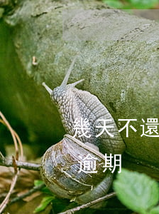 幾天不還款算是逾期(晚幾個小時還款算不算逾期)