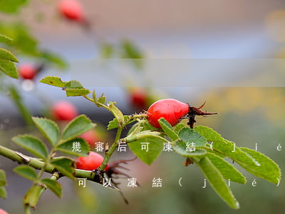 幾審后可凍結(jié)賬戶(立案之后多久可以凍結(jié)賬戶)