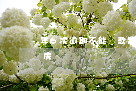 幾年6次逾期不能貸款(累計6次逾期可以申請房貸嗎)