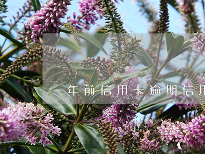 幾年前信用卡逾期（信用卡逾期幾年沒事）
