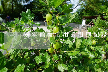 幾年前有信用卡逾期記錄(信用卡逾期好幾年)
