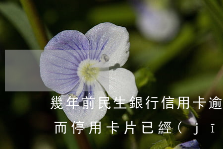 幾年前民生銀行信用卡逾期(民生銀行因逾期而停用卡片已經(jīng)一年了,能恢復么)