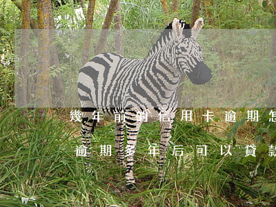 幾年前的信用卡逾期怎么辦(多年前信用卡有逾期,多年后可以貸款嗎)