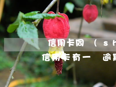 幾張信用卡同時(shí)逾期怎么辦(有多個信用卡,有一個逾期記錄了,怎么辦)