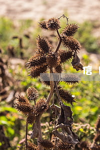 幾張信用卡欠40萬(wàn)還不起怎么辦-幾張信用卡欠40萬(wàn)還不起怎么辦呢