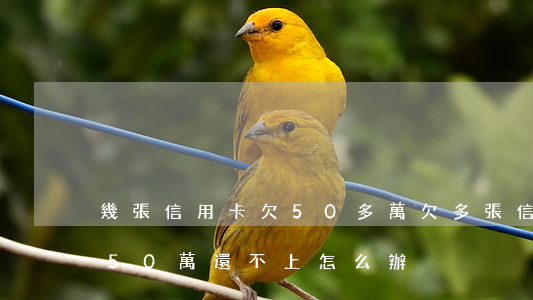 幾張信用卡欠50多萬(欠多張信用卡差不多50萬還不上怎么辦)