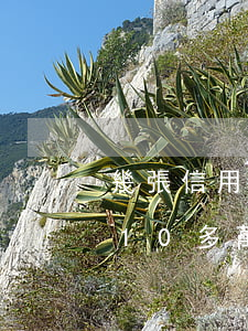 幾張信用卡欠十萬怎么上岸(6張信用卡欠了10多萬)